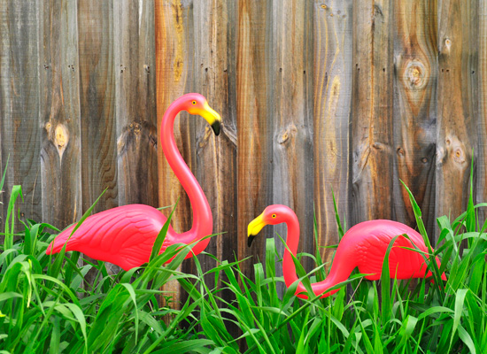 Plastic Pink Flamingos
