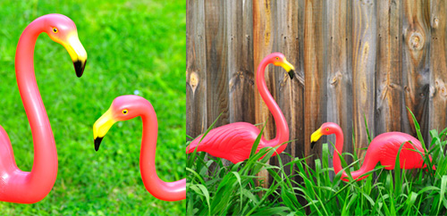 Pink lawn flamingos
